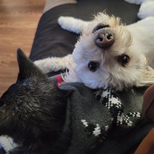 Meet your Posher, Sandra